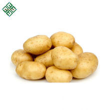 New Corps fresh Potato for Chips with fine price